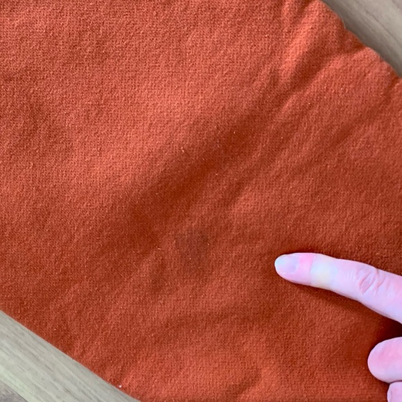 Pumpkin orange Champion Reverse Weave joggers🧡FINAL SALE🧡 - Picture 13 of 16